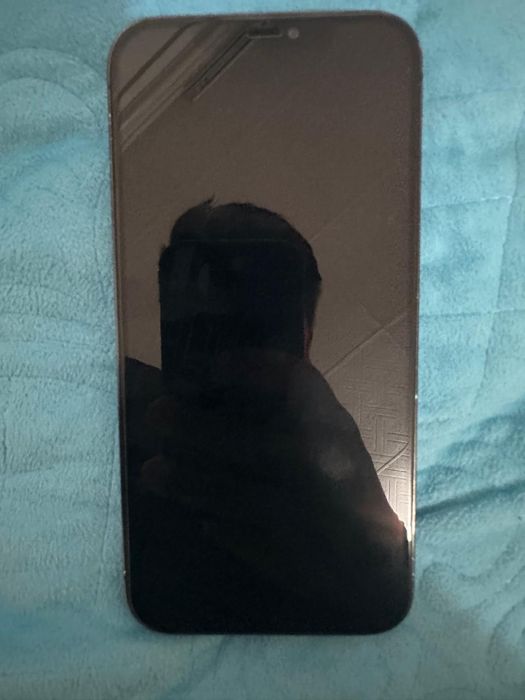 Iphone 12 pro max