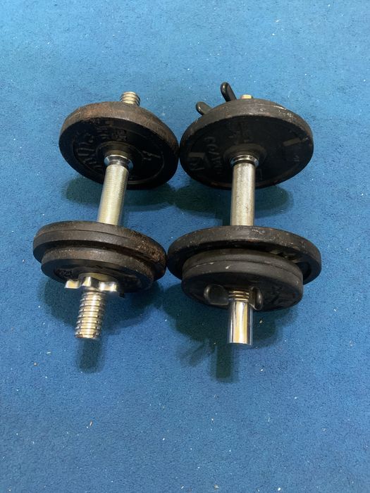 Set Gantere 10kg