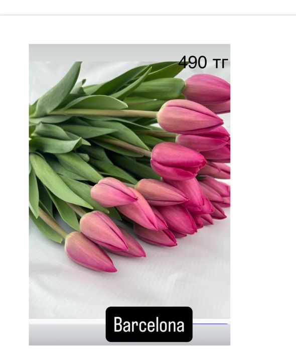 Тюльпаны оптом к 8 марта