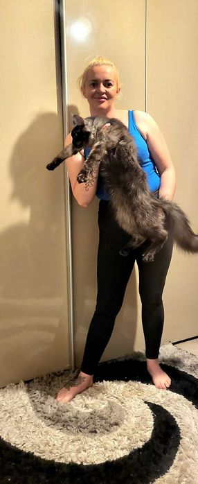 Vand baietel Maine coon