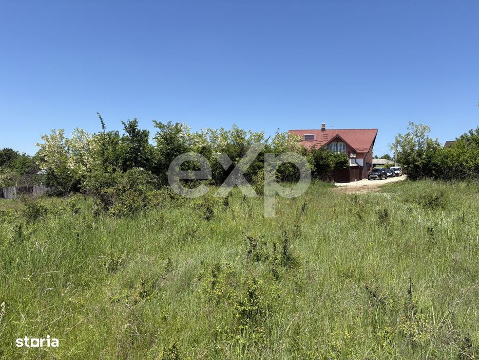 Intravilan 3015 mp Mosoaia | 48 ml deschidere | Langa padure
