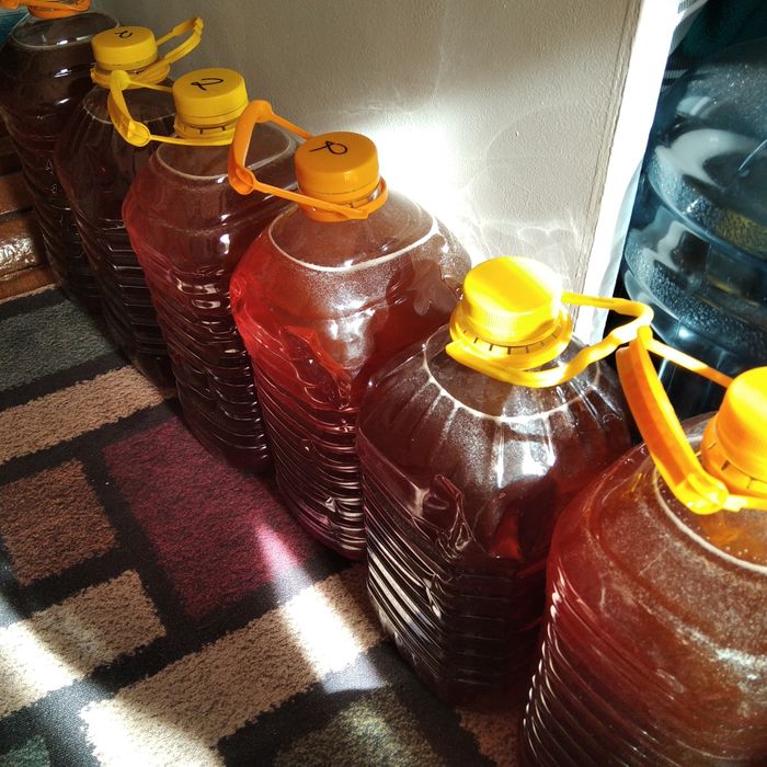 Продам мёд свежий