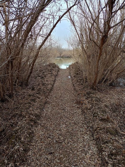 Дача на берегу Ишима