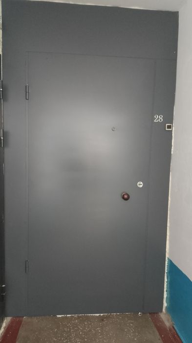 Железные (металлические) двери...