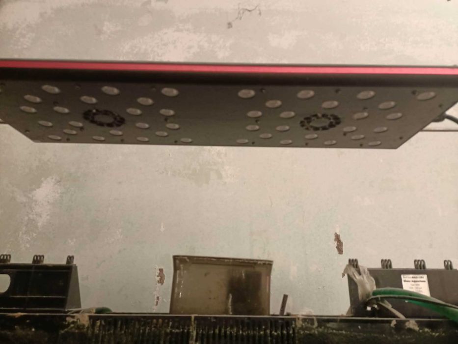 Vand acvariu marin RED SEA MAX C-250