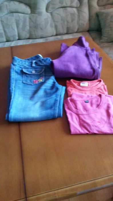 Лот дънки, тениски и сутчер