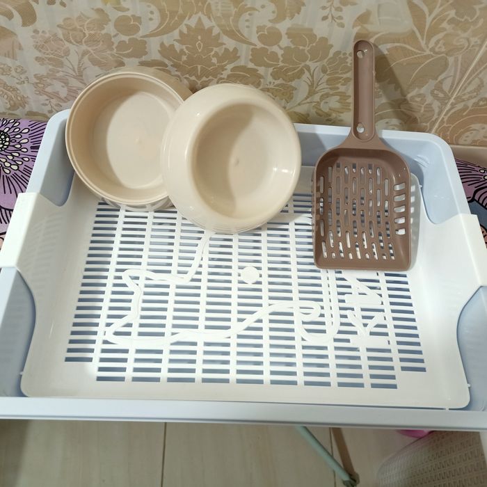 Продам набор для котят