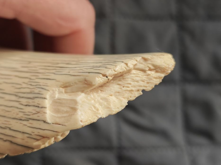 Obiect de arta colectie