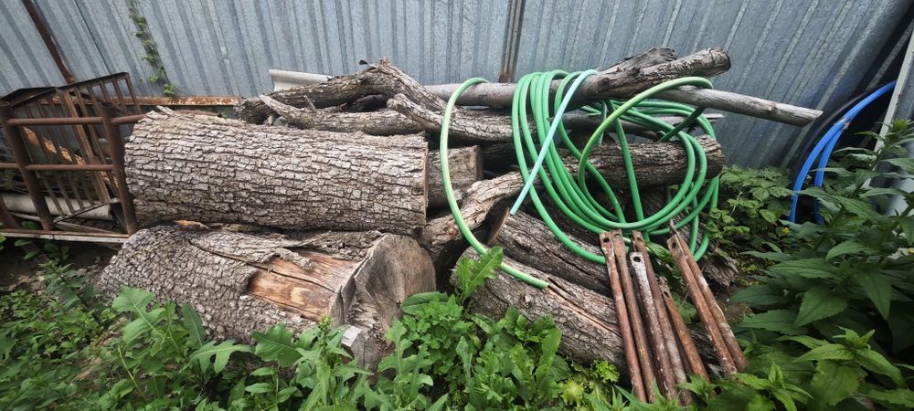 Продам фрутовые дрова, Отын сатамын