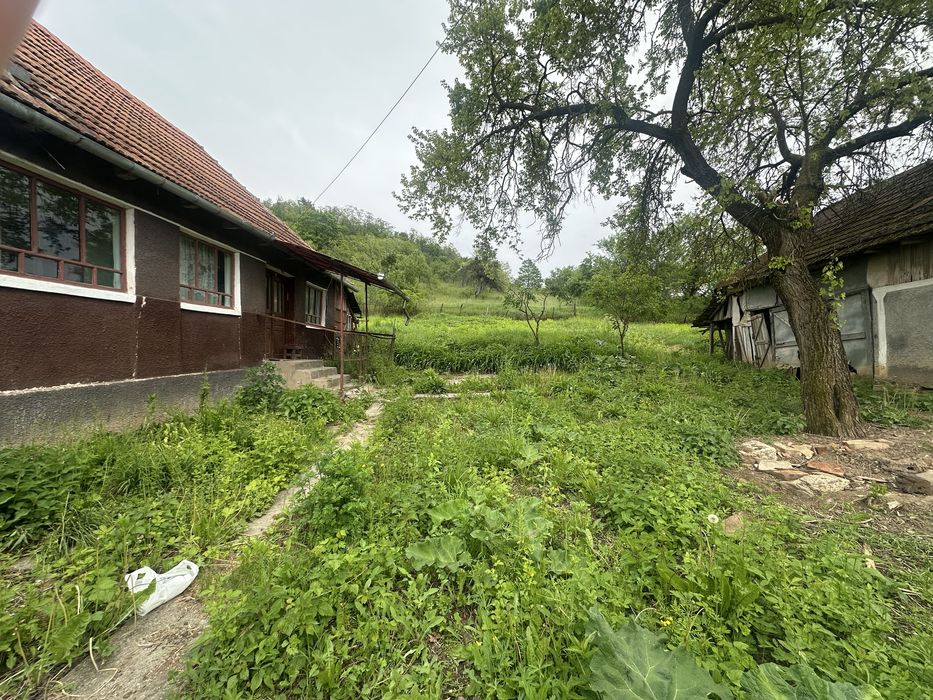 Casa, anexa si teren intravilan