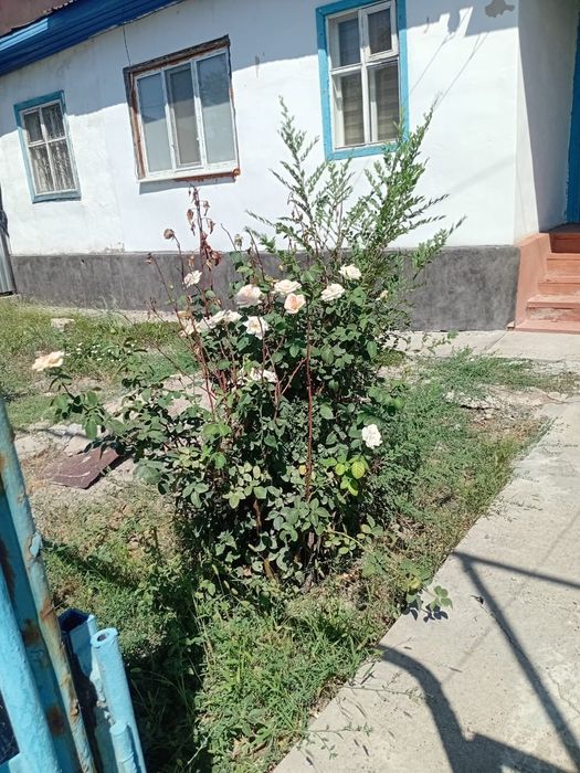 Продается квартира