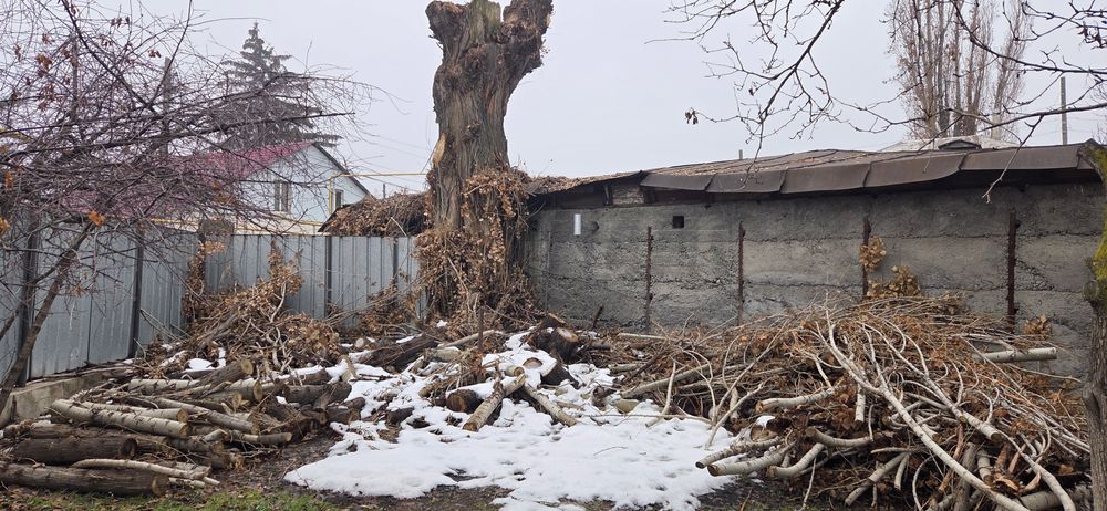 Дрова бесплатно  самовывоз