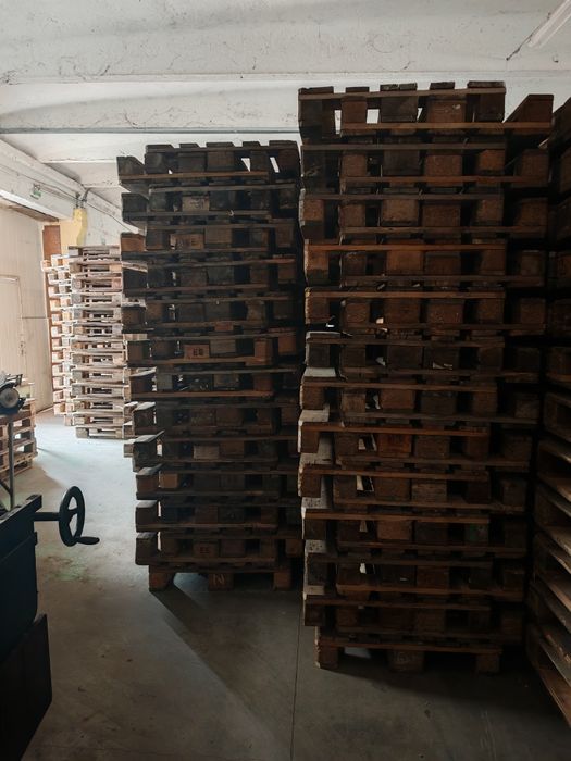 Vand europaleti cal negru