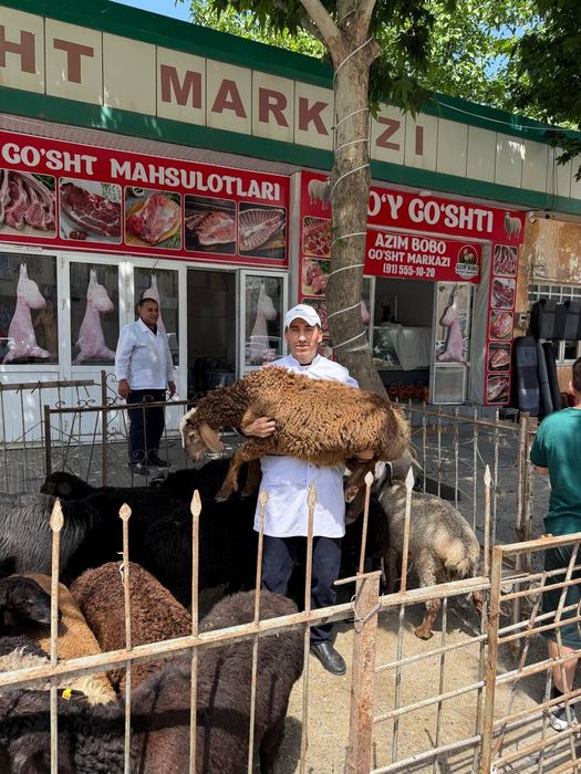Қурбонлик учун куйлар