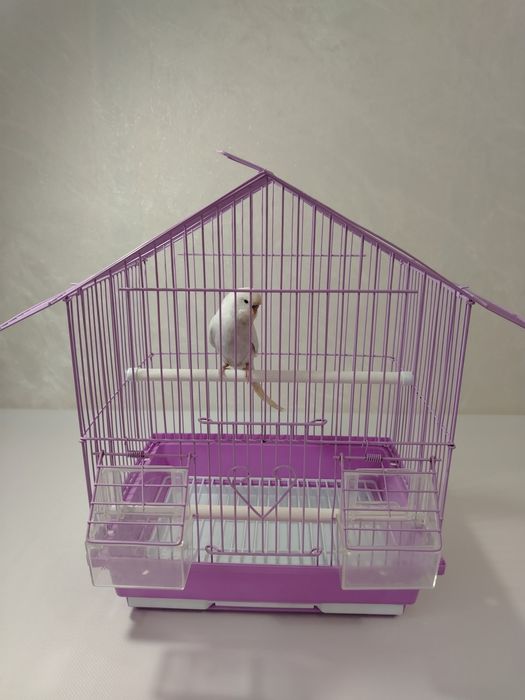 Подарок на дни рождения