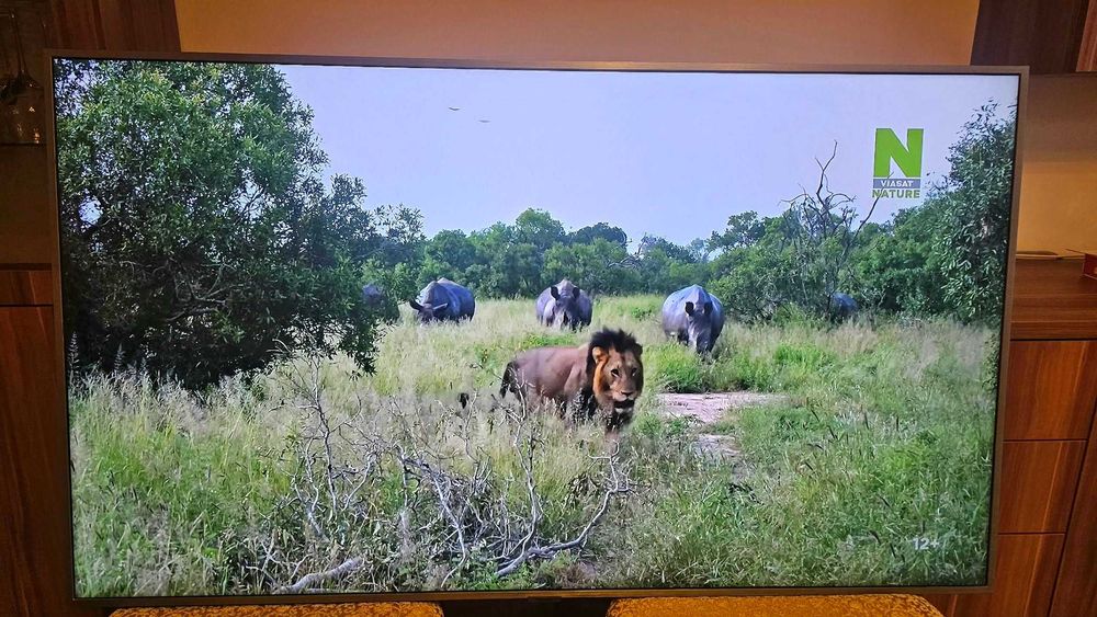 Телевизор Samsung QE55Q67R - 55-инча 4K Ultra HD QLED