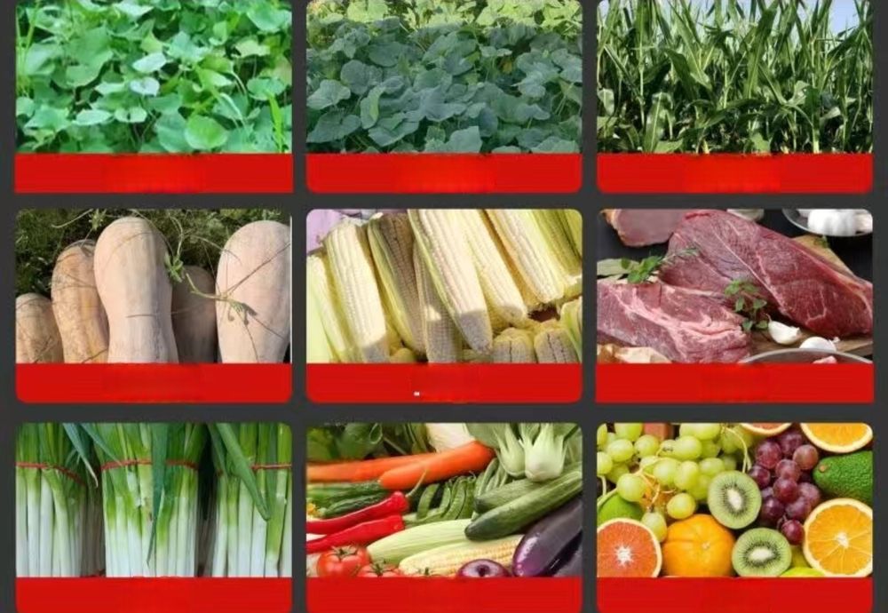 Универсальный электрический комбайн для дробления и резки кормов