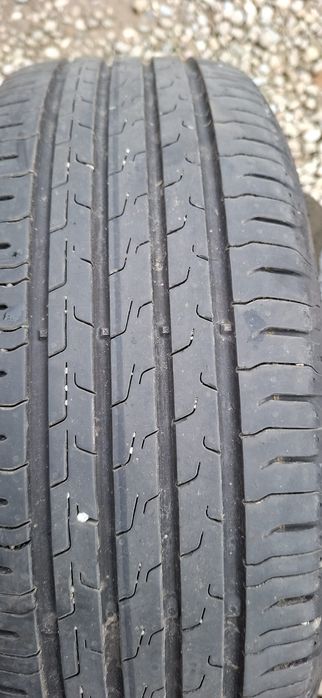 Anvelope vara 195/55/16 Continental EcoContact 6