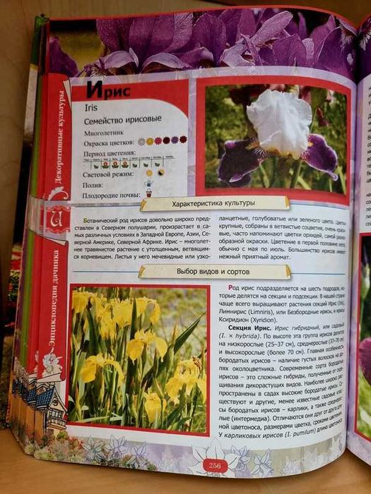 Gradina In RUSA full color Enciclopedia Plantelor Gradinarului 350 pag