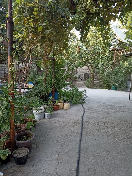 Продается дом с большим участком