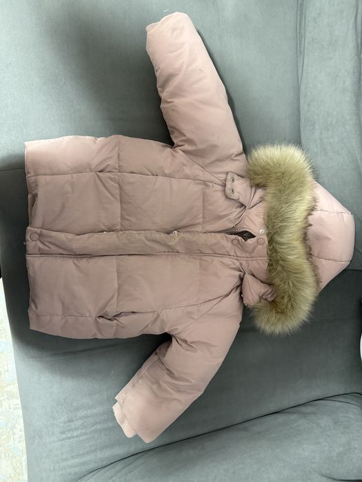 Курька на девочку