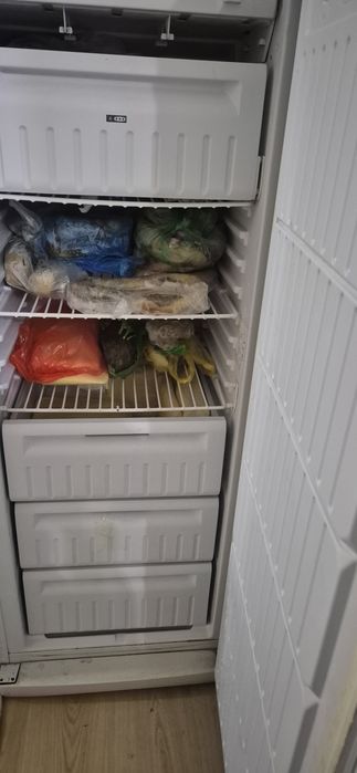 Продам морозильник Indesit