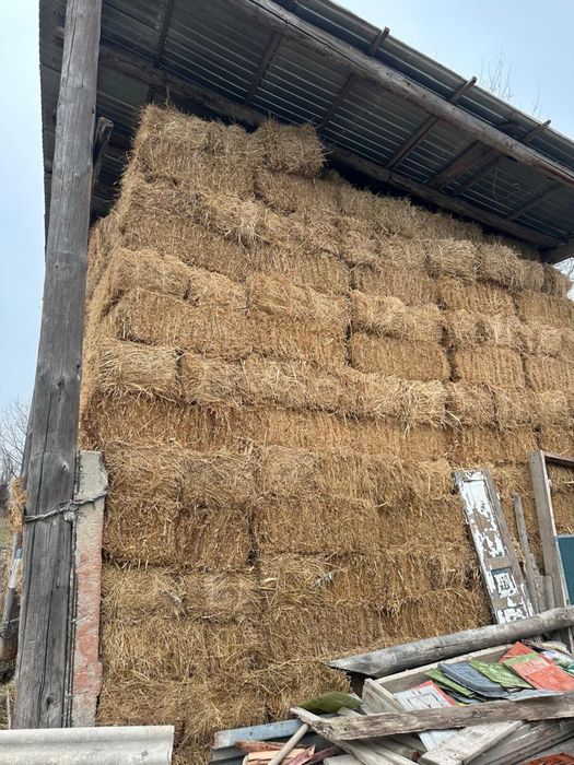 Жоңышқа үшінші орым сатылажы