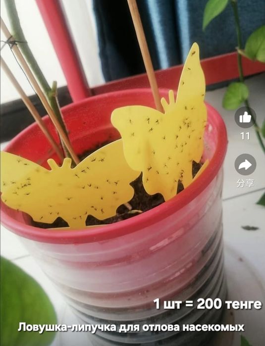 Все для растений продам