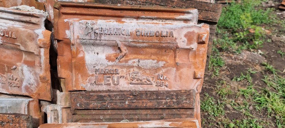 Țiglă leul Jimbolia