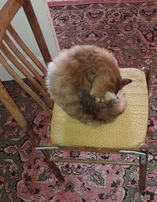 Стулья 10 шт есть каждый по 200 тисяч