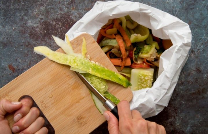 Пищевые отходы еды