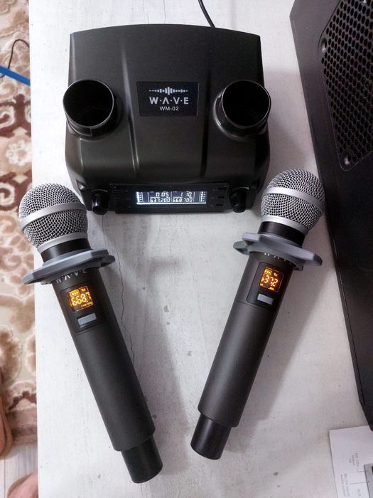 Аренда микрофонов