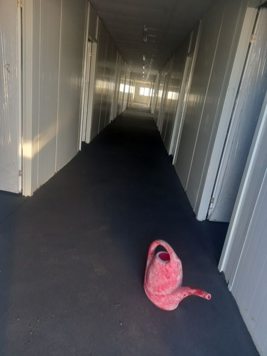 Sapa mecanizata elicopterizata