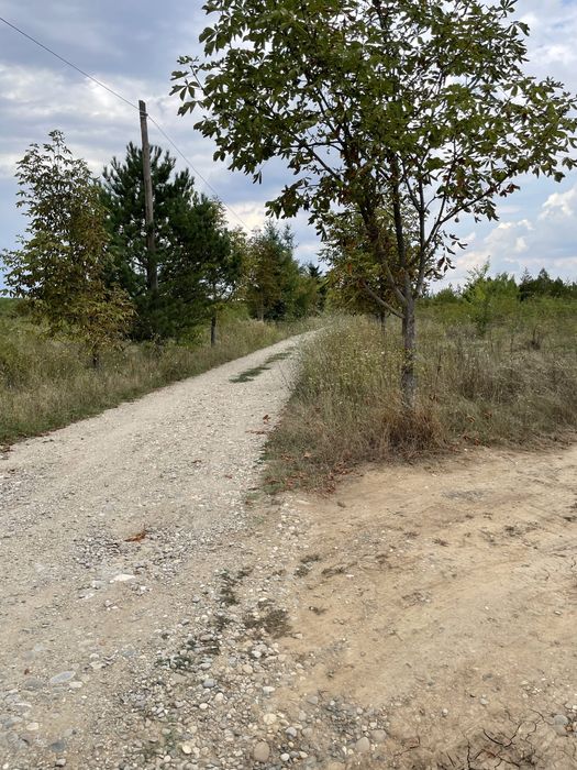 Vand/Asociere Teren - 3774 mp Intravilan Peris/Padurea Scrovistea