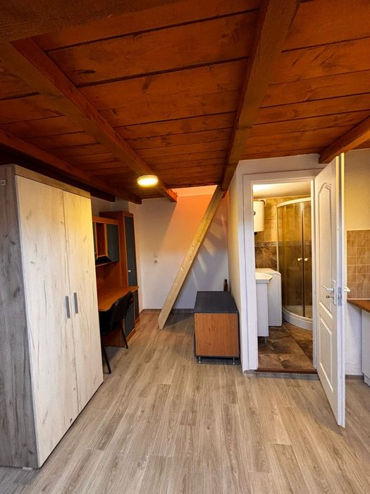 Dau in chirie in Centru zona pt Muzeului ( cheltuieli incluse )