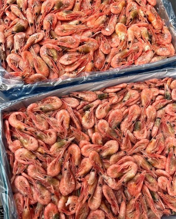 Доставка раков,живые раки,клешни краба,креветки