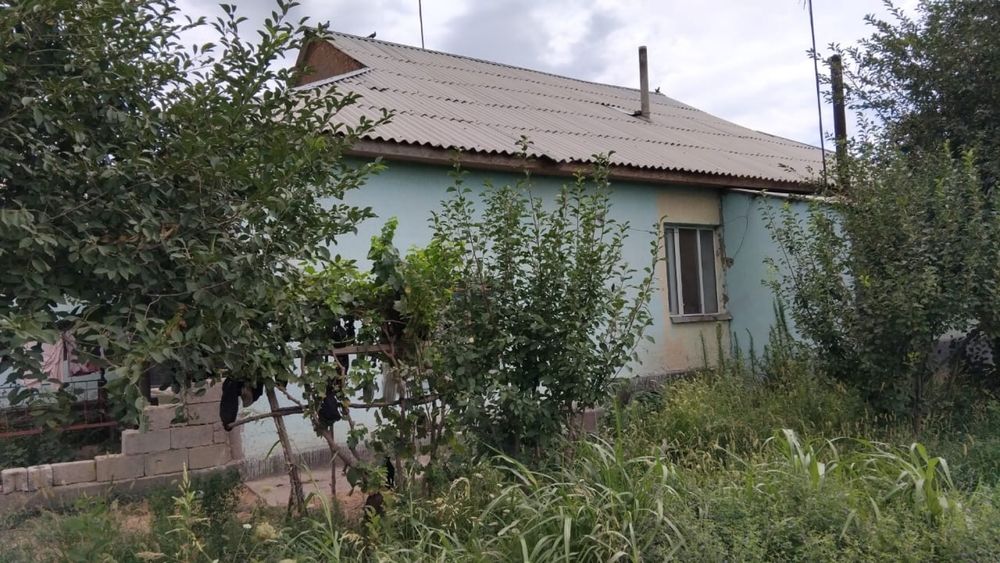 Үй сатылады, мал шаруашылығына қолайлы