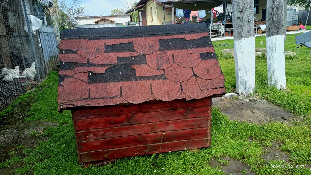 Cușcă pentru câini