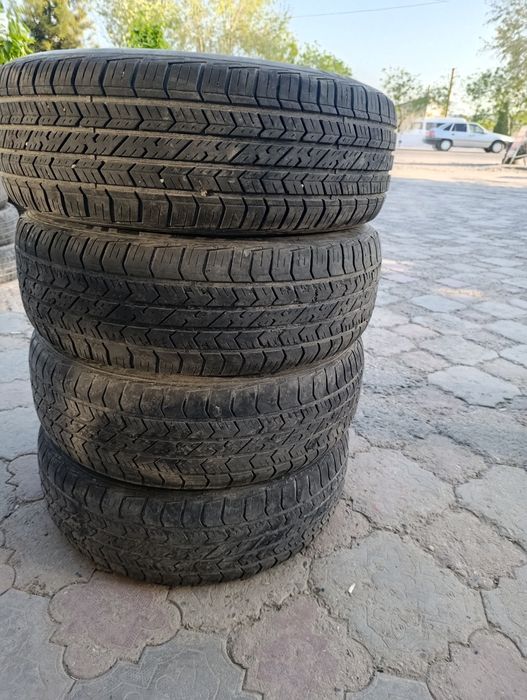 14 balon Cobalt uchun