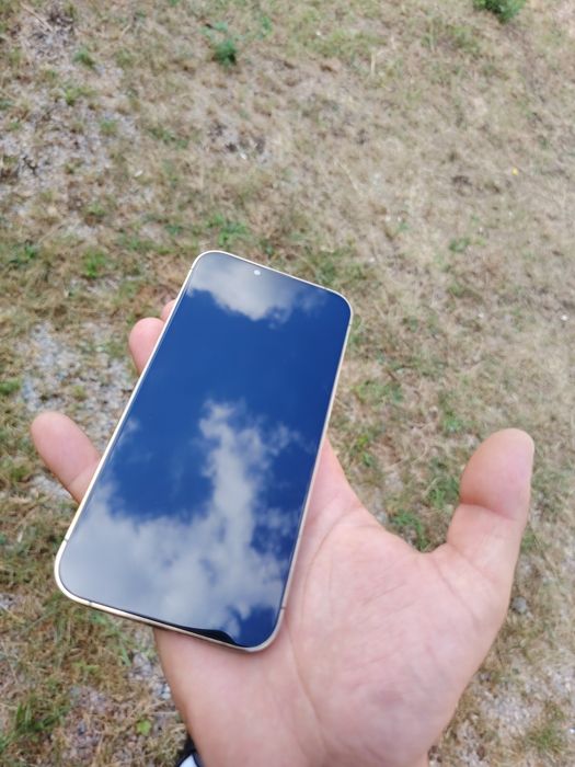 iPhone 13 Pro Без Забележки