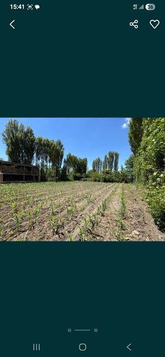 Uy joy 17 sotix sotiladi ( продажа дом с большим участком 17 соток)