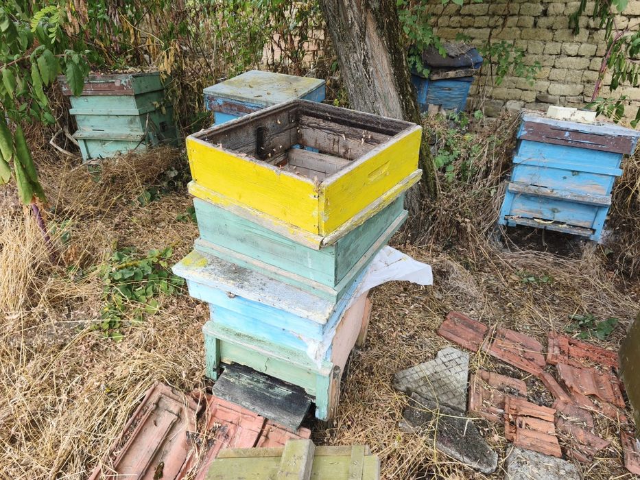 Продавам кошери 12 и 9 рамкови