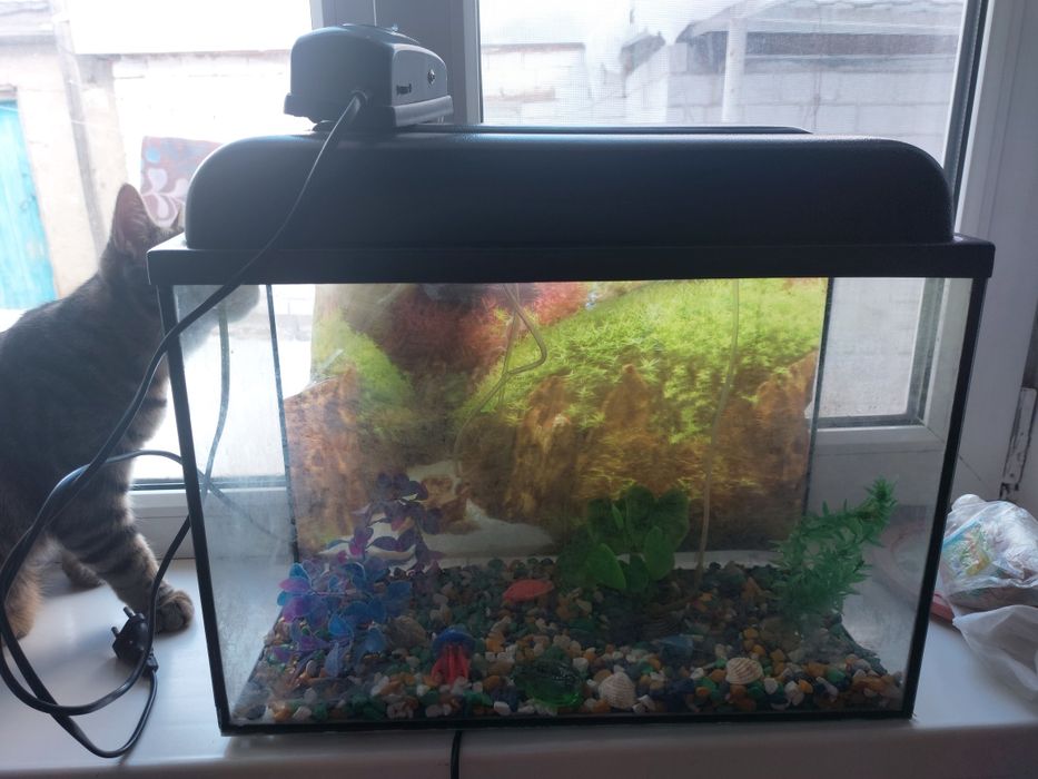 Продам продам аквариум