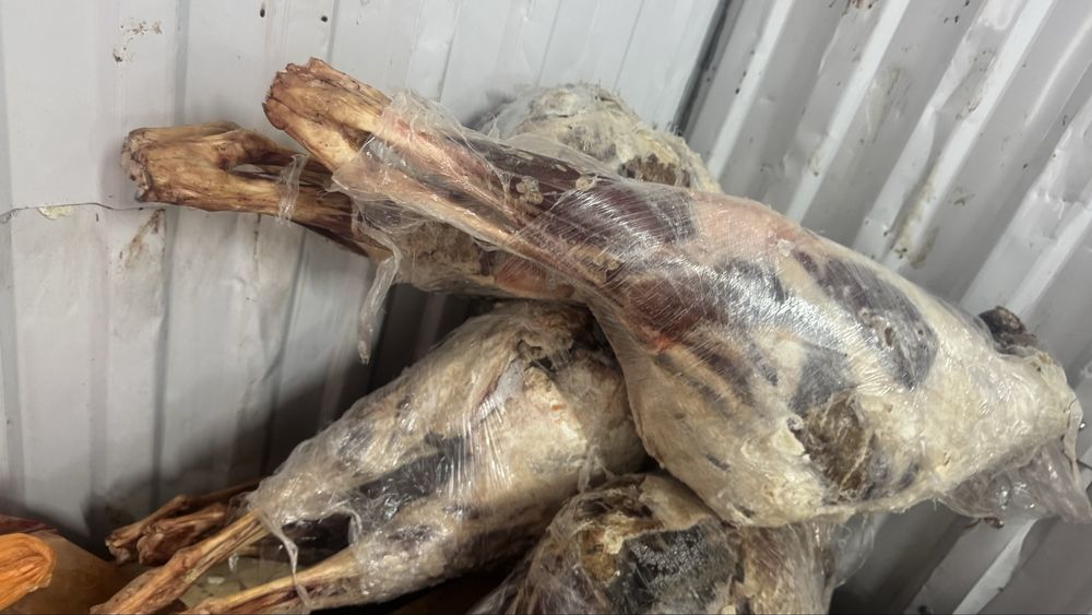 сайгачье , сайгак , киик ети мясо