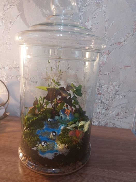 Продам флорариумы. Юго Восток