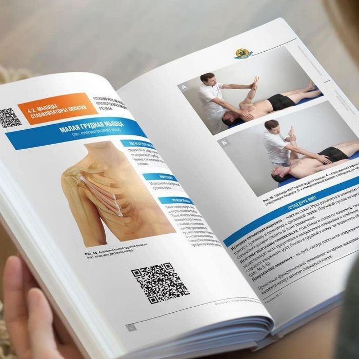 Мануальное тестирование мышц