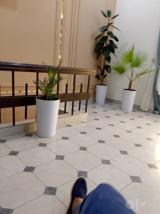 Bez zaks hotel, bez zags mehmonxona, без загс гостиницы, без Закс отел