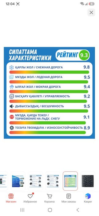 Зимние шины с шипами