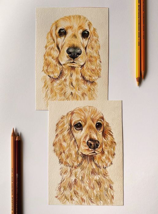 Ръчно рисуван портрет на домашен любимец