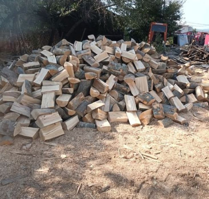 Lemn de foc fag 600 tona sau la metru ster